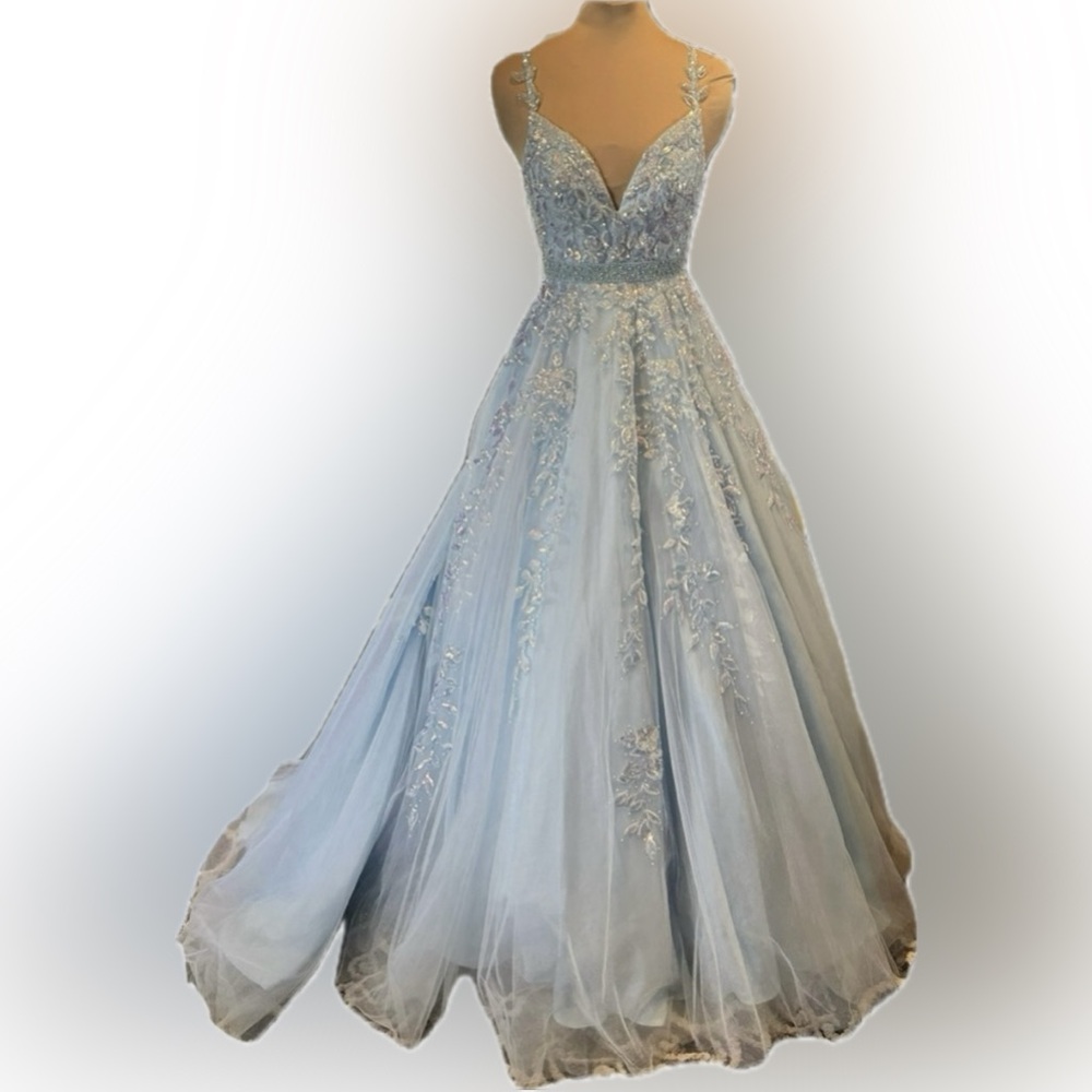 EUC Amarra Tulle and Leaf Lace Embroidered Ball Gown